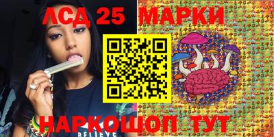 крисы Кунгур