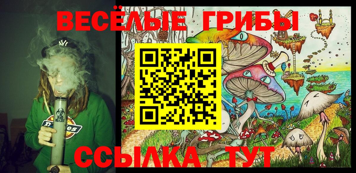 Энгельс  Псилоцибиновые грибы мицелий  Псилоцибиновые грибы GOLDEN TEACHER  Вход с VPN 