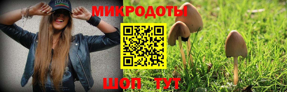 Псилоцибиновые грибы Magic Shrooms Энгельс